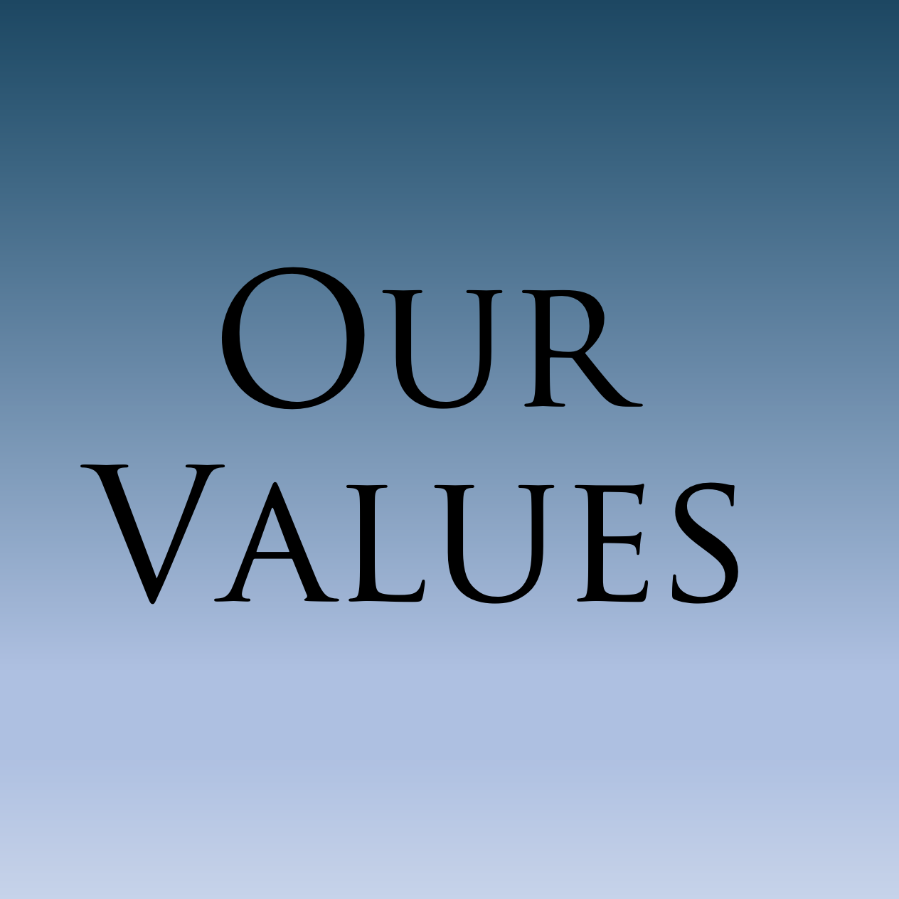 the words "our values"