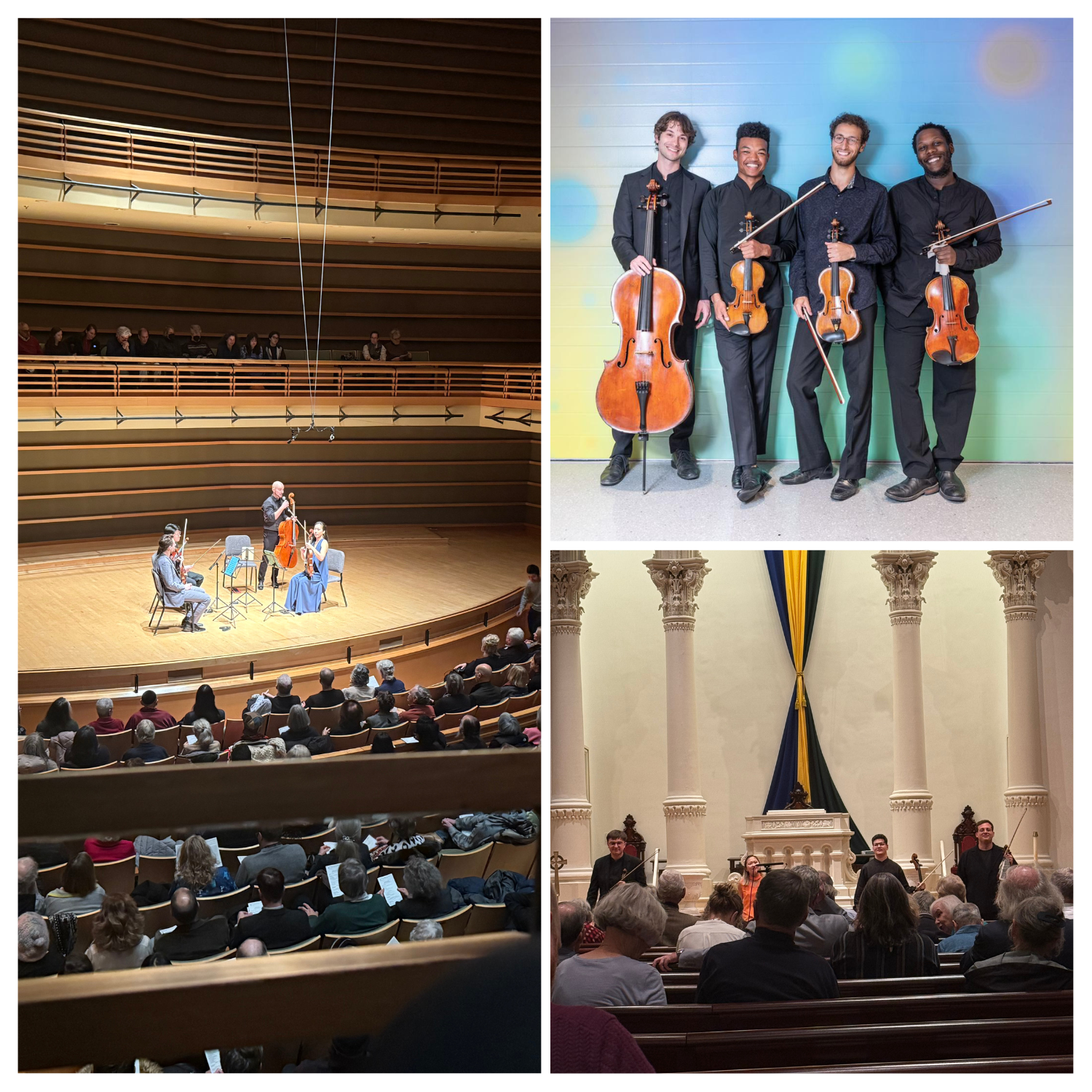 Chamber music by Dover Quartet, Renaissance String Quartet, Balourdet Quartet